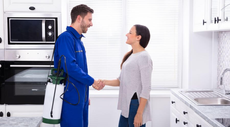 Professional pest control services in Glen Waverley, Melbourne